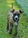 Jax