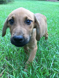 Billy