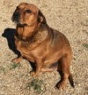 Nellie