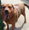 Nellie