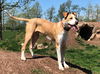 Barkley (formerly Usher)