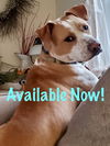 Barkley (formerly Usher)