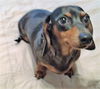 Winnie