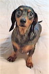 Winnie