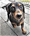 Winnie