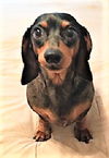 Winnie
