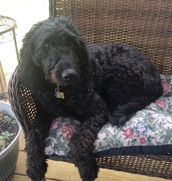 Molly