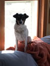 Marcie