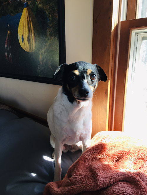 Marcie