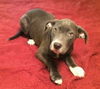 Shiloh