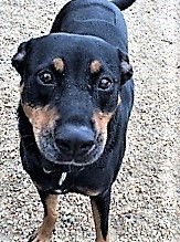 Roxy