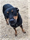 Roxy