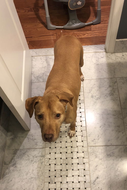 Louie