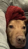 Louie