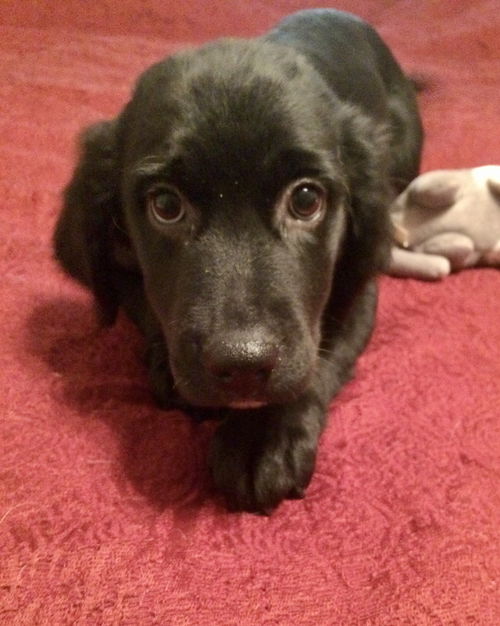Buster