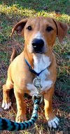 Tucker