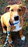 Tucker
