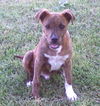 Bo-Courtesy