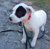 Margo
