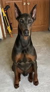 Tyson