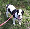 Molly