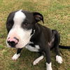 Buster