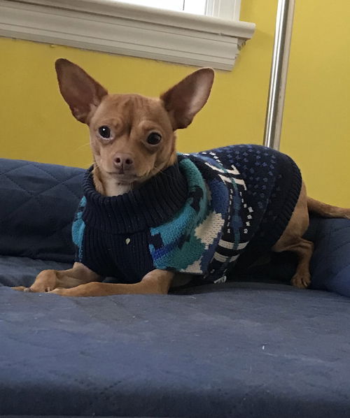 Kira