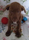 Donte