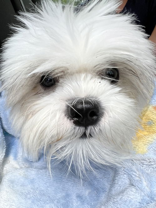 Chloe