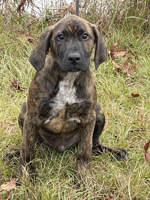 Jethro