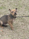 Morris