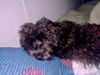 Lucy