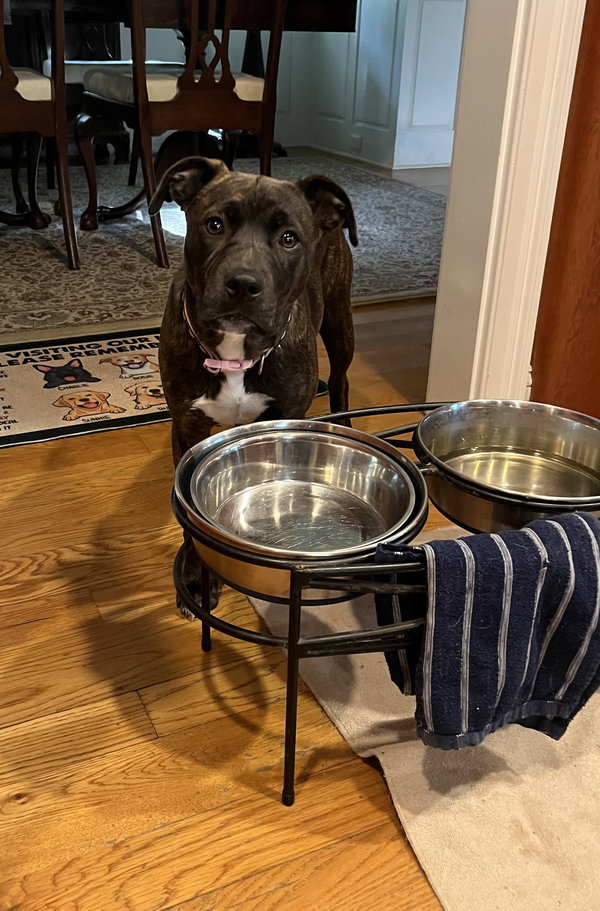 Lucy (Formerly Lyra)