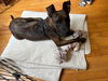 Roscoe