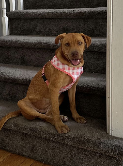 Lucy