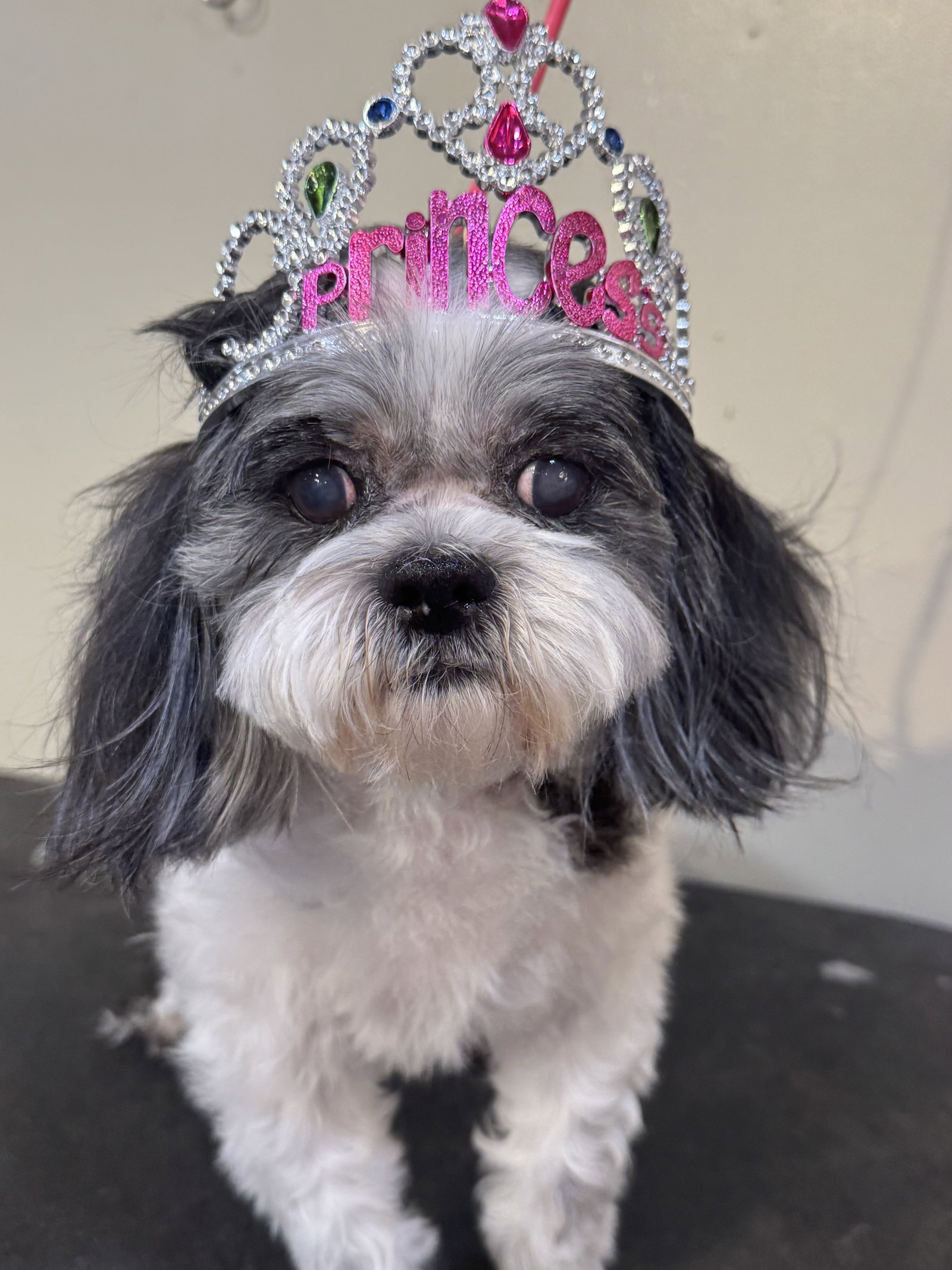 Princess Image