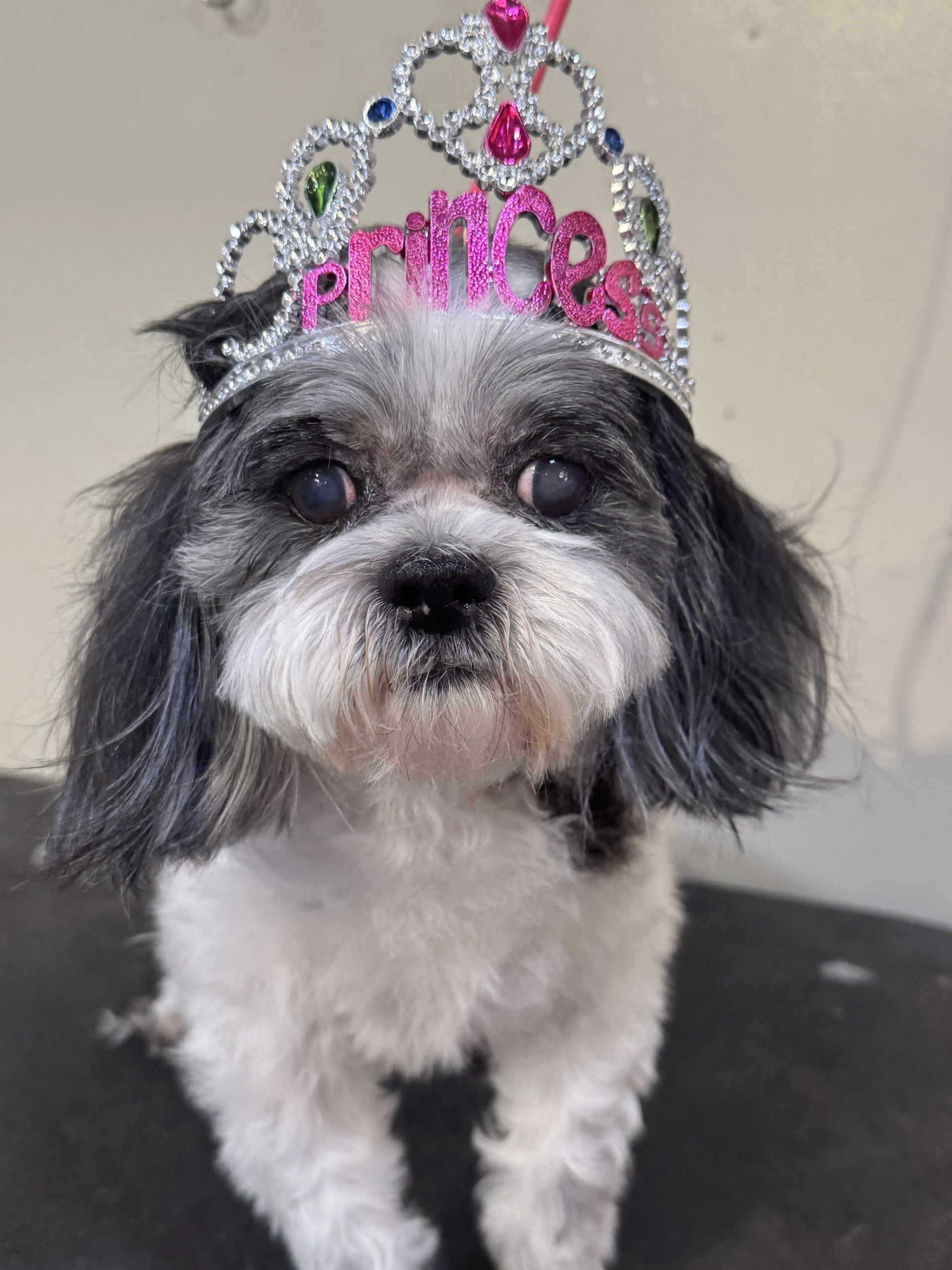 Princess