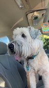 Charley
