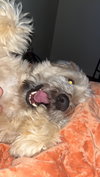Charley