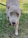 Laverne