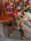 Laverne - Photo 1