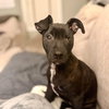 Zavier