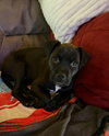 Zellie - Photo 1