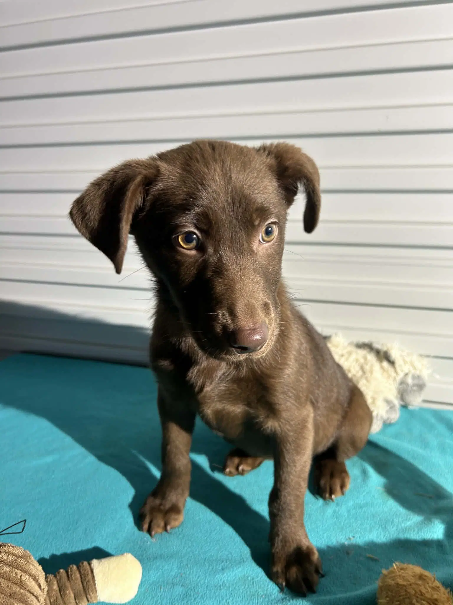 Coco image 4