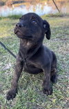 Dora - Photo 1
