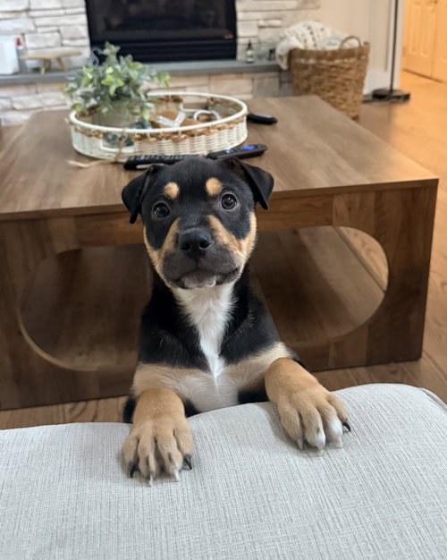 Jude