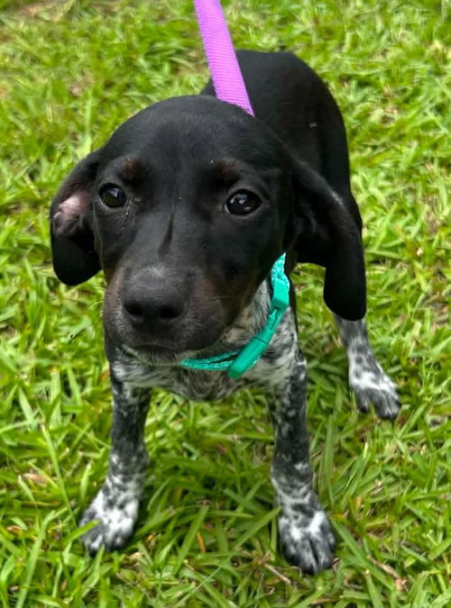 Tessa photo 4