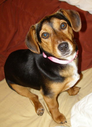 Molly