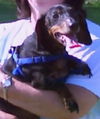 Rupert