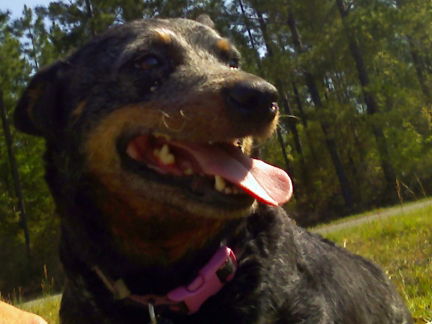 Roxy